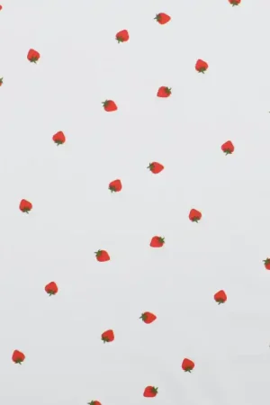 Voordeelprijs Popeline katoen aardbeien, wit