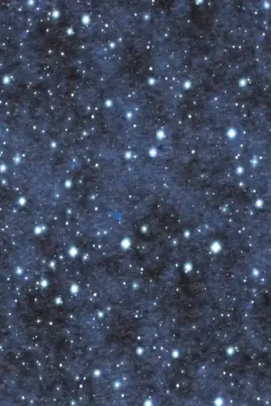 Wintersweat Sterrenhemel, donkerblauw Weekendaanbieding