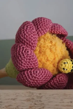 Premium Haakpakket: Sambabloem