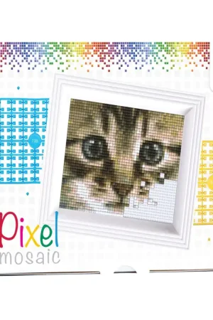 Pixelhobby Poezenblik Direct Verzonden