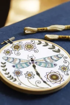 Borduurpakket: DMC Dragonfly Rechtstreeks Van De Fabrikant