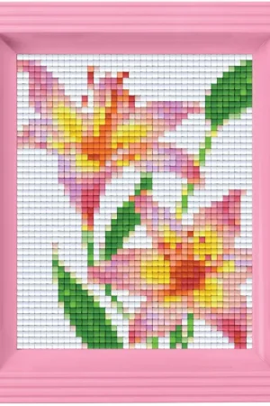 Koopje Pixelhobby Giftpack Roze lelies met lijst