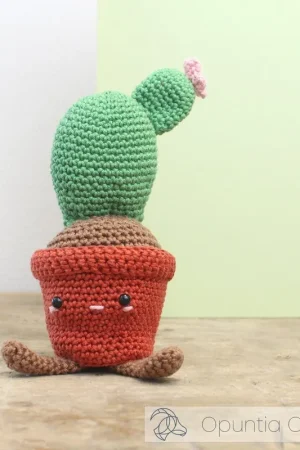 Veilige Betaling Haakpakket: HardiCraft Schijfcactus