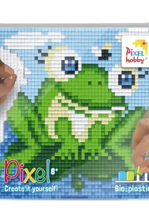 Alleen Vandaag Pixelhobby Kikker