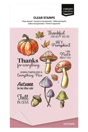 Betaalbaar Vaessen Creative - Clear Stempels Hey Pumpkin
