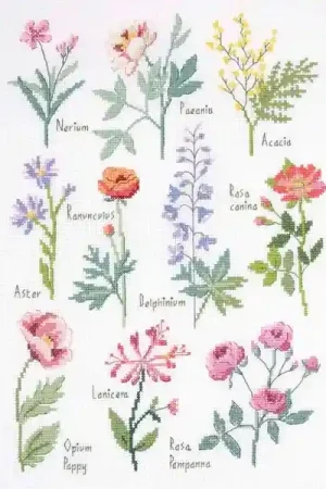 Aanbieding Botanisch borduren - DMC borduurpakket