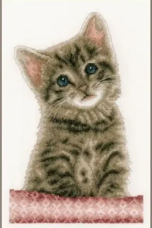 Alleen Vandaag Kitten borduren - Vervaco borduurpakket