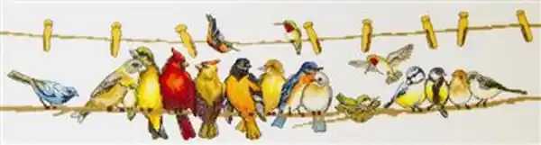 Vogeltjes borduren - Vervaco borduurpakket Finale Uitverkoop