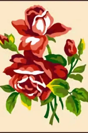 Lage Kosten Rozen borduren - voorbedrukt borduurpakket beginner - Seg de Paris