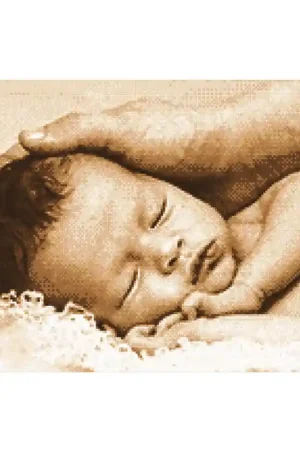 Tederheid borduren - Marie Coeur borduurpakket Koopje