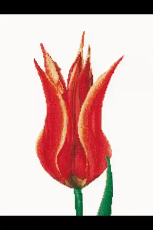 Red/Yellow Lily flowering Tulip linnen, Borduurpakket Thea Gouverneur Lage Prijs