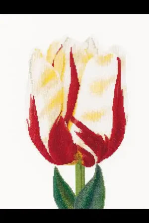 Flamed Single late Tulip linnen, Borduurpakket Thea Gouverneur Nieuw