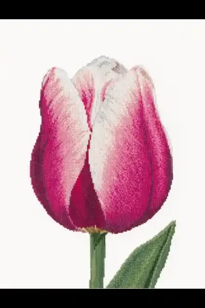 Hete Deal Red/White Triumph Tulip linnen, Borduurpakket Thea Gouverneur