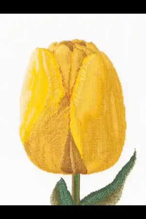 Yellow hybrid Tulip linnen , Borduurpakket Thea Gouverneur Koop Vandaag