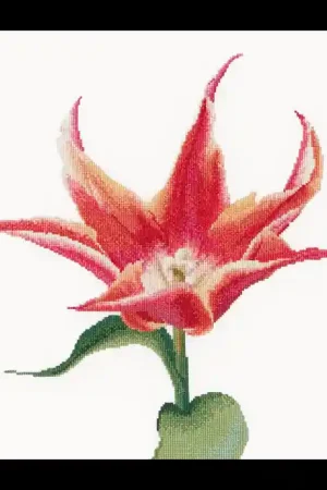 Red/Orange Lily Tulip, Borduurpakket Thea Gouverneur Hete Deal