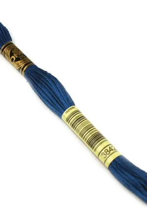 Veilige Betaling DMC mouline borduurgaren - 3842