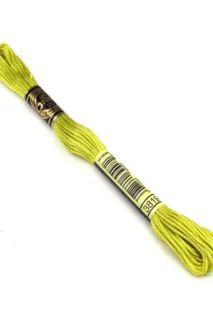 Alleen Vandaag DMC mouline borduurgaren - 3819