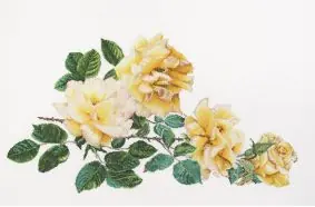 Peace, linnen Borduurpakket Thea Gouverneur Gereduceerde Prijs