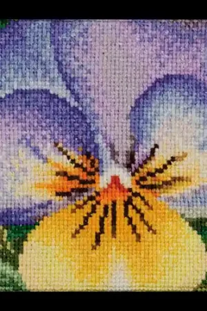 Beperkte Voorraad Viooltje lila-geel, Borduurpakket Thea Gouverneur