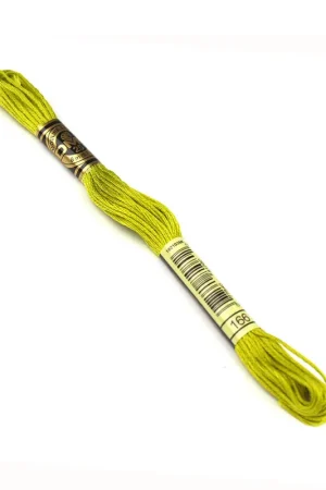 Alleen Vandaag DMC mouline borduurgaren - 166