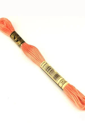 Direct Verzonden DMC mouline borduurgaren - 352