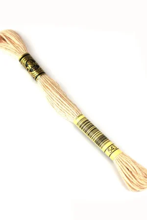 Actieprijs DMC mouline borduurgaren - 543