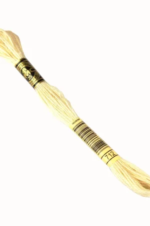 Alleen Vandaag DMC mouline borduurgaren - 712