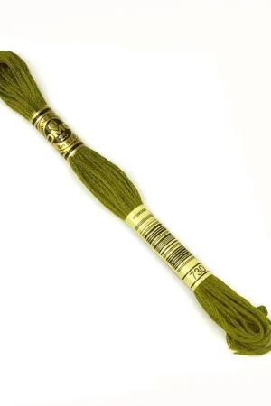 Beperkt Aanbod DMC mouline borduurgaren - 730