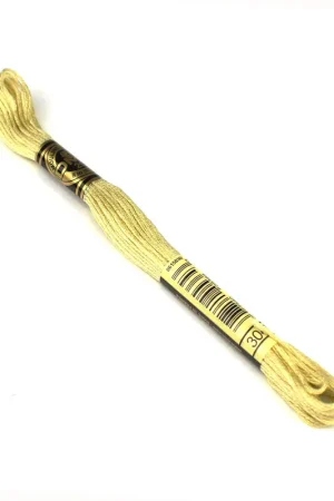 Direct Beschikbaar DMC mouline borduurgaren - 3047