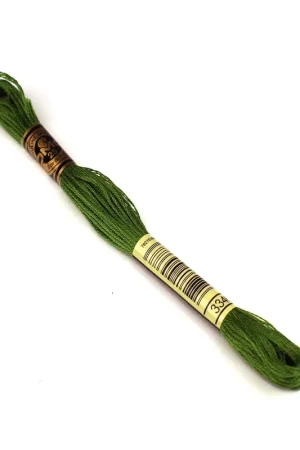 Bestel Nu DMC mouline borduurgaren - 3346