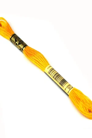 Alleen Vandaag DMC mouline borduurgaren - 972