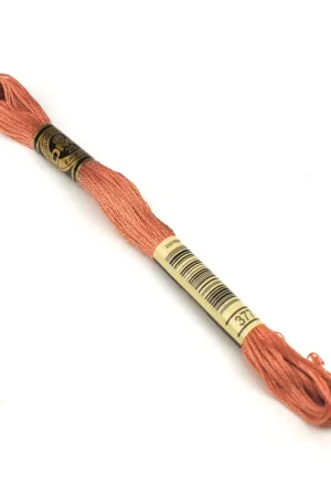 Bestel Nu DMC mouline borduurgaren - 3778