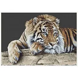 Thea Gouveneur borduurpakket Tijger 579.05 telpatroon Nu Kopen