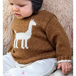 Breipakket babytrui van Phil Soft+ van Phildar Korting