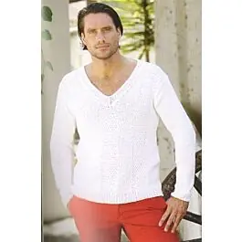 Betaalbaar Scheepjeswol herentrui van Cotton 8