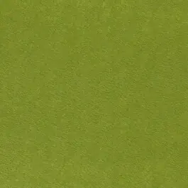 Vilt 3mm groen Alleen Vandaag