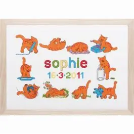 Nu Kopen Dikkie Dik geboortetegel borduurpakket van PAKO 076.272020