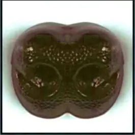 Weekendaanbieding Veiligheids neusje bruin LE SUH 48557