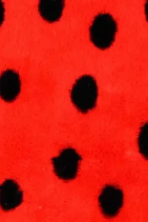 Actieprijs Faux fur borg stof, lieveheersbeestje print, rood/zwart. X719