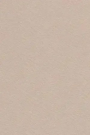 Vilt stof, 3mm, beige. VL052 Speciale Aanbieding