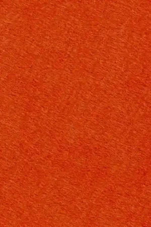 Vilt stof, 3mm, oranje. VL038 Koop Vandaag