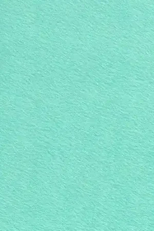 Vilt stof, 3mm, mint. VL022 Dagaanbieding