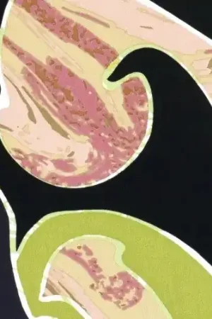 Viscose poplin stof, abstracte print, groen/blauw/roze/zwart. D0212 Betaalbaar