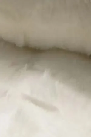 Voordeelprijs Fake fur stof luxe, lengte streep reliëf, offwhite. D044