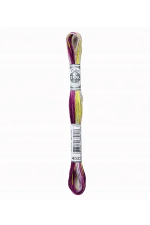 Betaalbaar DMC Mouline Coloris