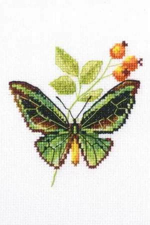 Betaalbaar Borduurpakket Briar and Butterfly - RTO