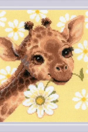 Borduurpakket Little Giraffe - RIOLIS Gratis Verzending
