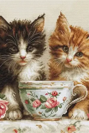 Borduurpakket - Two Kittens - Luca-S Nu Kopen