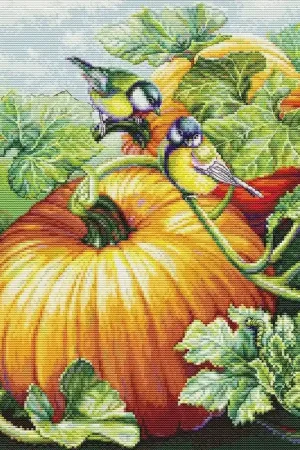 BorduurpakketBirdies On Pumpkin - Luca-S Uitverkoop