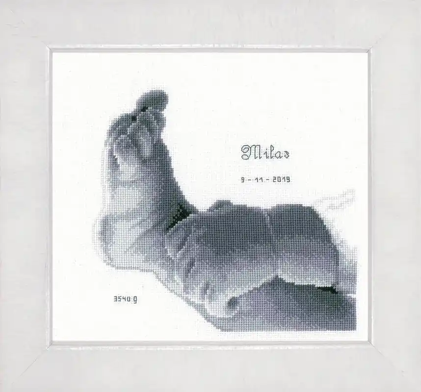 Voordeelprijs Borduurpakket Babyvoetje